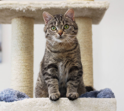 Kde nás najdete a jak si domluvit návštěvu?