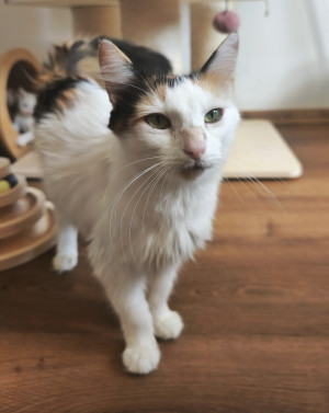 Vivienne 1