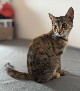 Valerie
