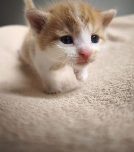 Jim