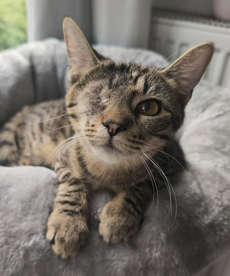 Lili