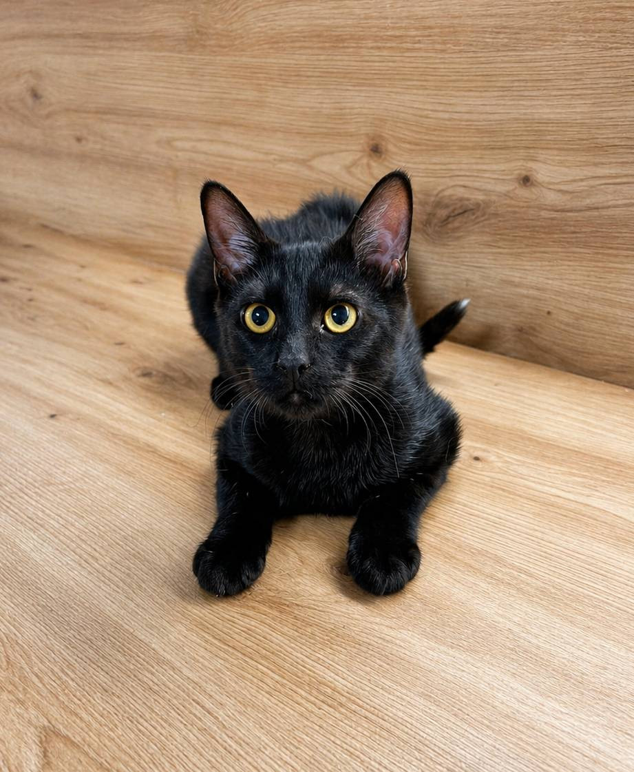 Viktor