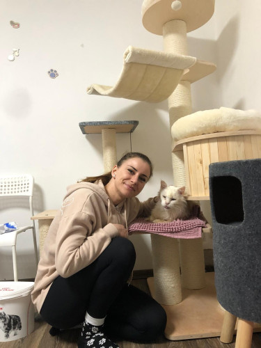 Vzpomínkový náramek kocourka Moríska - růžový 9