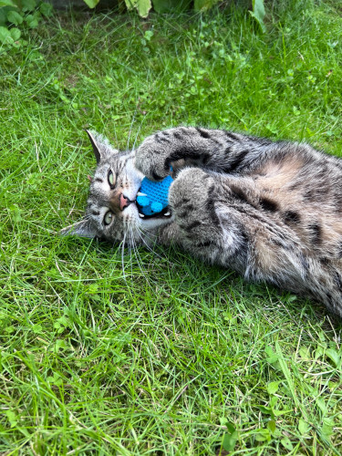 Háčkovaná myška s kozlíkem a šantou 4