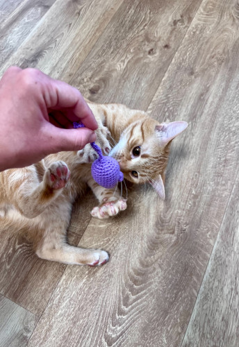 Háčkovaná myška s kozlíkem a šantou 5