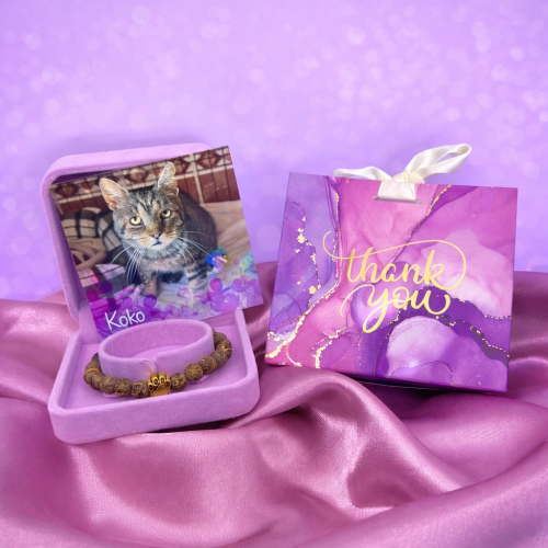 Náramek kocourka Kokouška 2