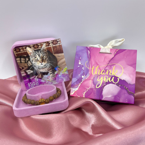 Náramek kocourka Kokouška 1