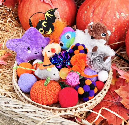 Magický mystery box pro kočičky 1