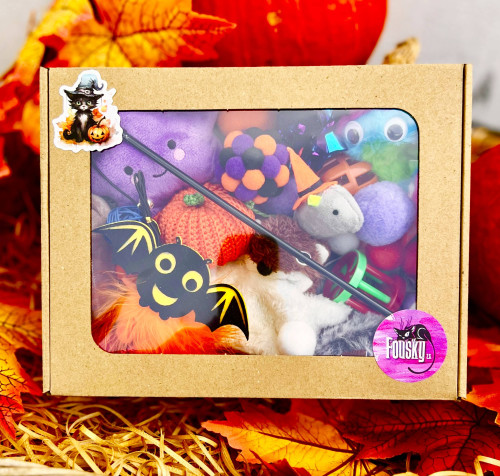 Magický mystery box pro kočičky 2