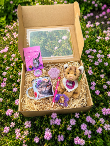 Dárkový box pro holčičky 🌸  s hnědou kočičkou 🐾 1