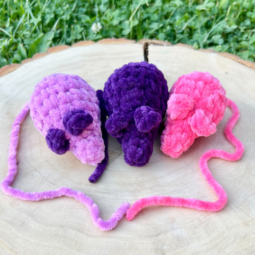 Myška s dlouhým ocáskem 1