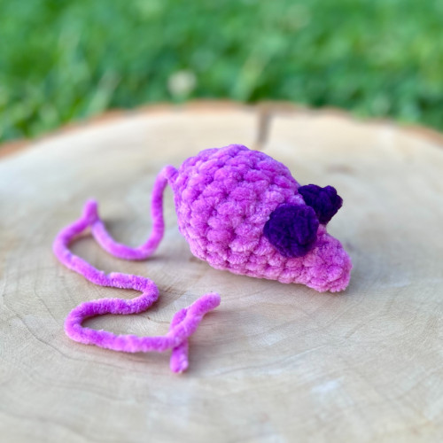 Myška s dlouhým ocáskem 2