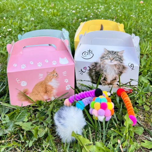 Barevný mystery box - střední 1