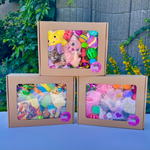 Mystery Box pro kočičku - velký 2