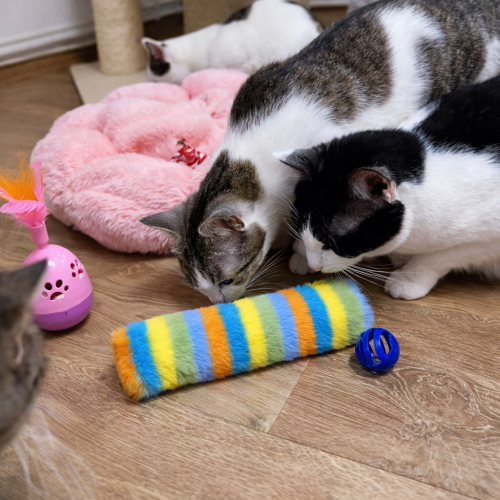 Váleček s vůní šanty a kozlíku 1