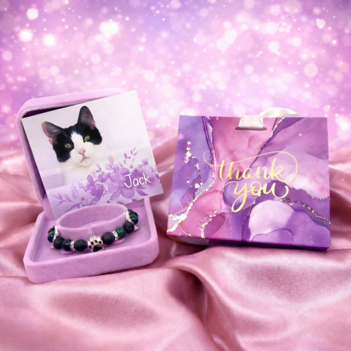 Náramek kocourka Jacka 2