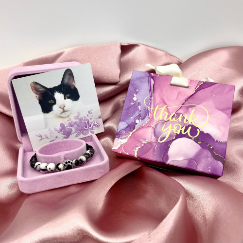 Náramek kocourka Jacka 2