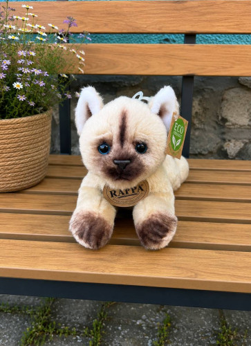 Plyšová kočka 21 cm ECO-FRIENDLY - thajská 2