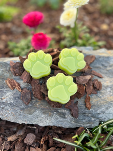 Tlapička s vůní zeleného čaje 1