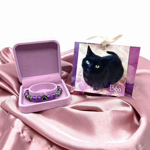 Náramek kocourka Bíby 1