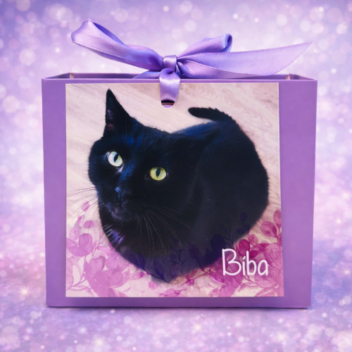 Náramek kocourka Bíby 2