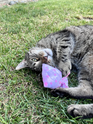 Pytlíček se šantou malý 4