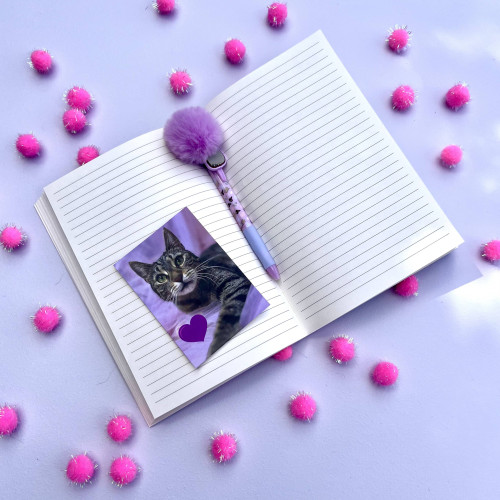 Zápisník - světle růžový s kočkou A5 2
