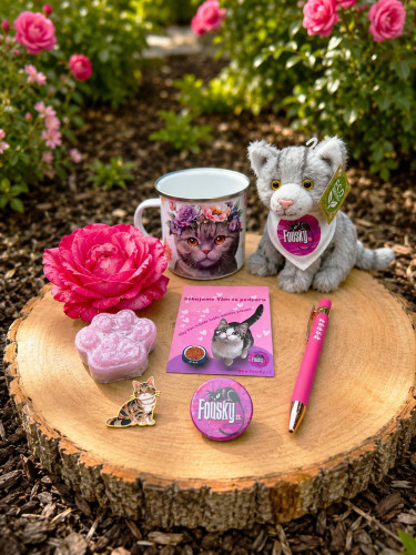 Dárkový box pro holčičky 🌸 se stříbrnou kočičkou 🐾 2