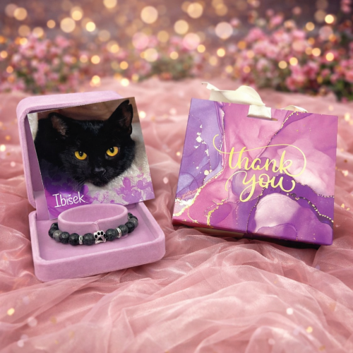 Náramek kocourka Ibiška 2