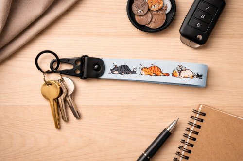 Klíčenka s pevnou karabinou 2