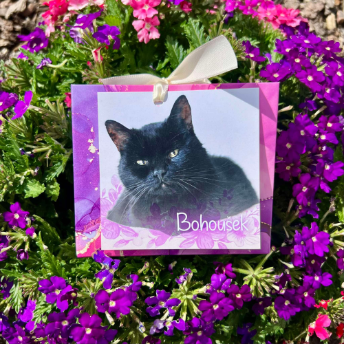 Vzpomínkový náramek - Bohoušek 1