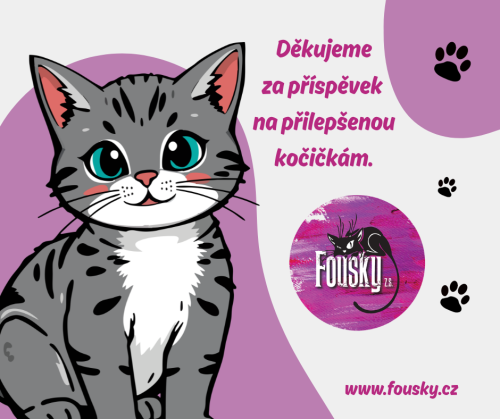 Příspěvek na přilepšenou kočičkám 1