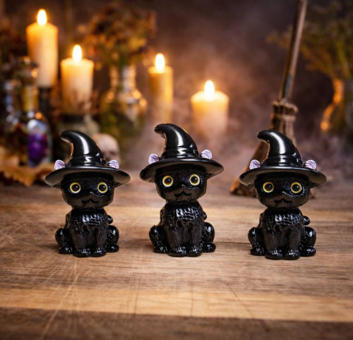 Černá kočička pro štěstí 2