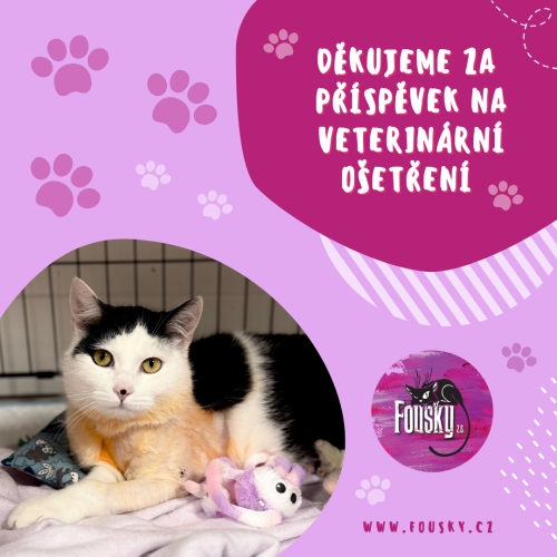 Příspěvek na veterinární ošetření 1