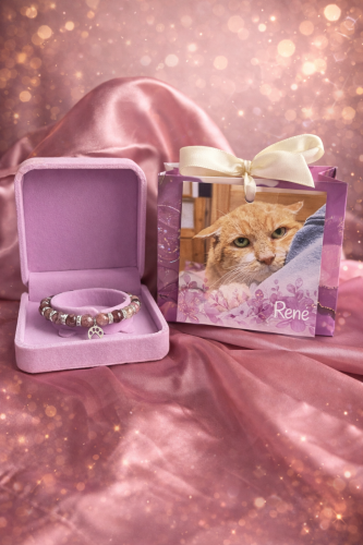 Náramek kocourka Reného 3
