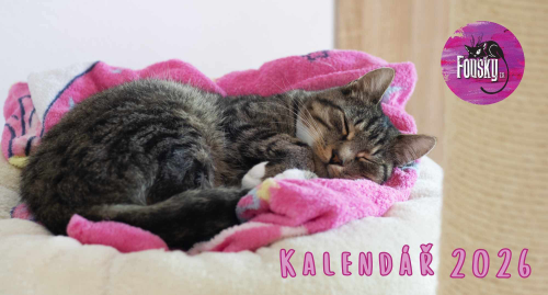 Stolní kalendář na rok 2026 1