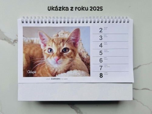 Stolní kalendář na rok 2026 2