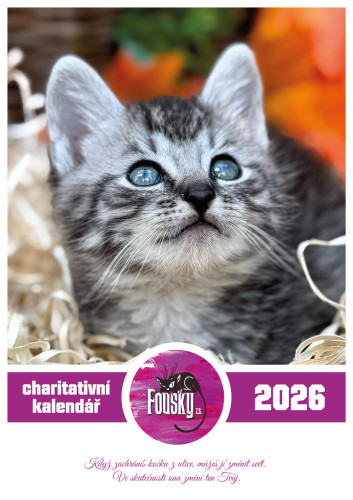 Nástěnný kalendář na rok 2026 1