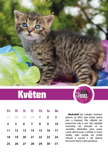 Nástěnný kalendář na rok 2026 3