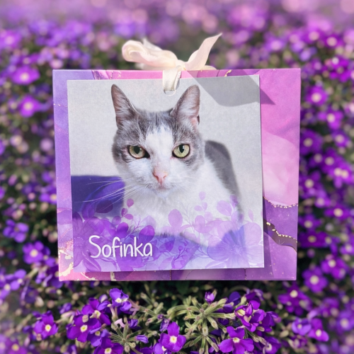 Náramek kočičky Sofinky 2