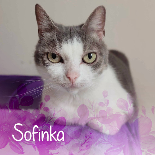 Náramek kočičky Sofinky 4