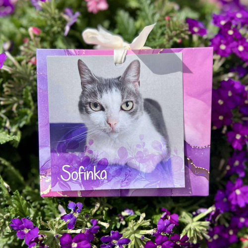 Náramek kočičky Sofinky 1