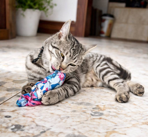 Kozlíkový sáček - limitovaná edice s kočičím motivem 3