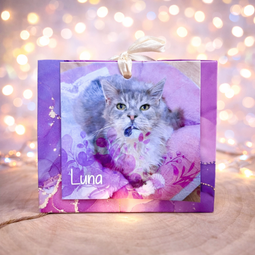 Náramek kočičky Luny 2