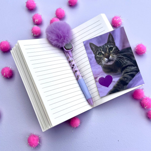Zápisník - světle růžový s kočkou A6 2