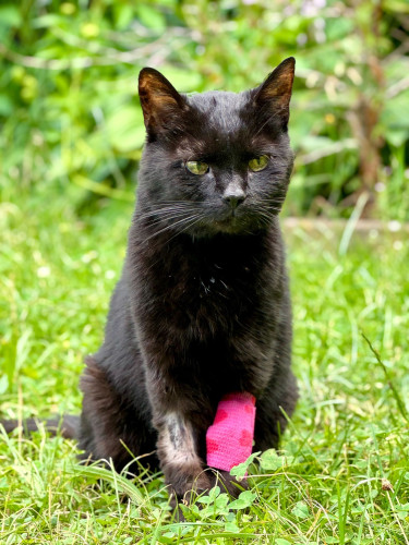 Hrneček s Bohouškem 4