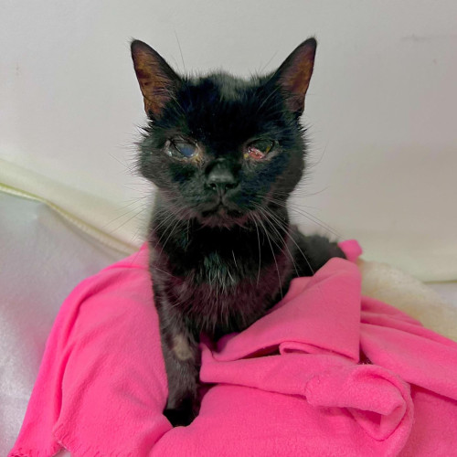 Hrneček s Bohouškem 2