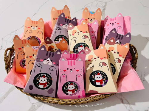 Mystery box pro holčičky - kočička 1