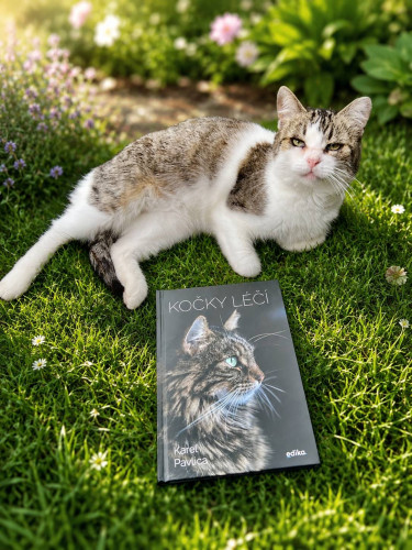 Kočky léčí 2