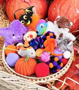 Magický mystery box pro kočičky